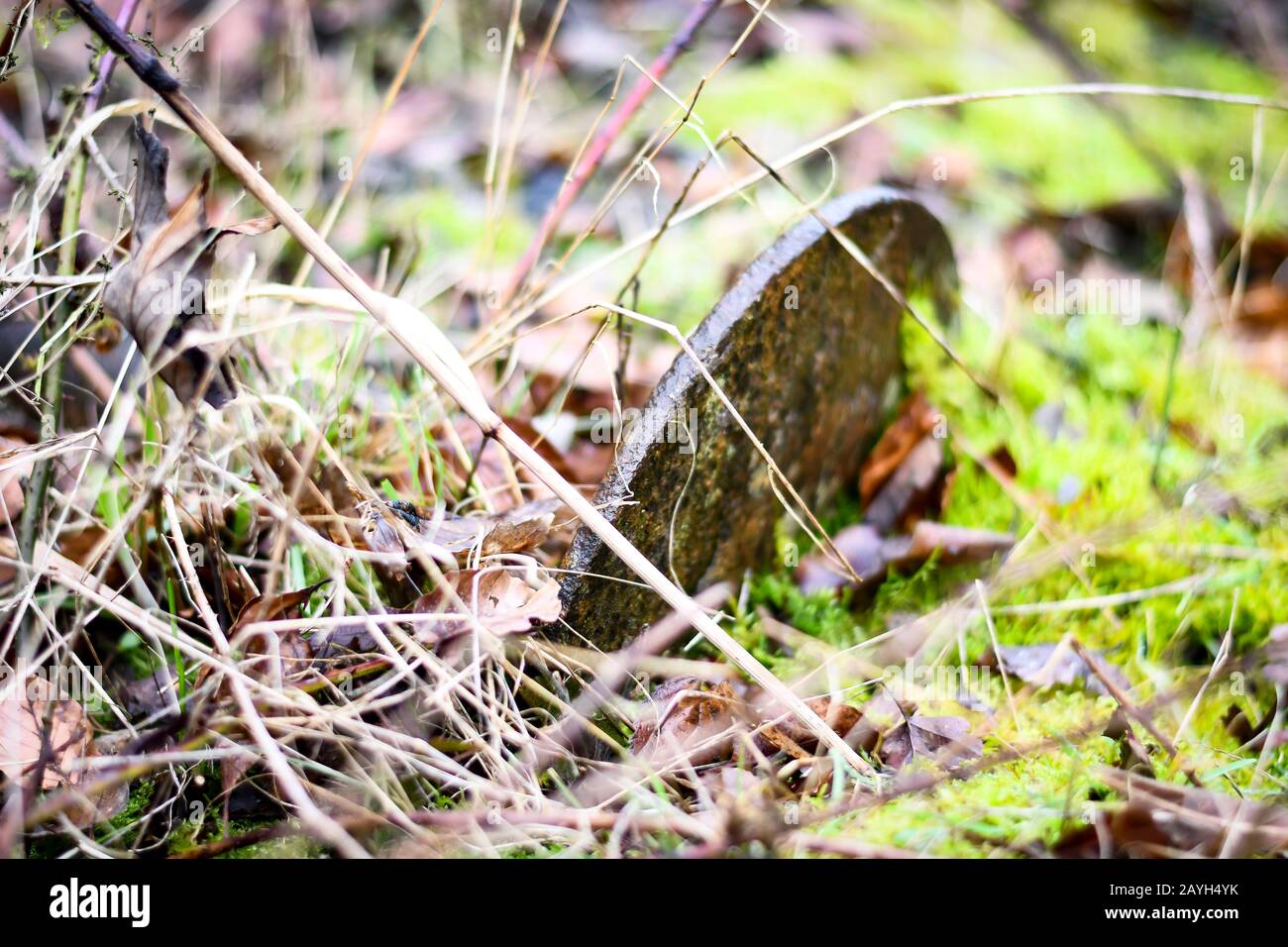 parts of an old forgotten railway with bits of broken train Stock Photo