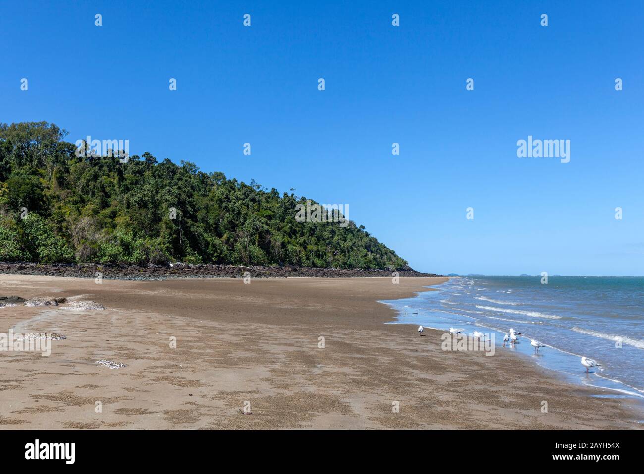 Dingo Beach, Queensland, Australia Stock Photo Alamy