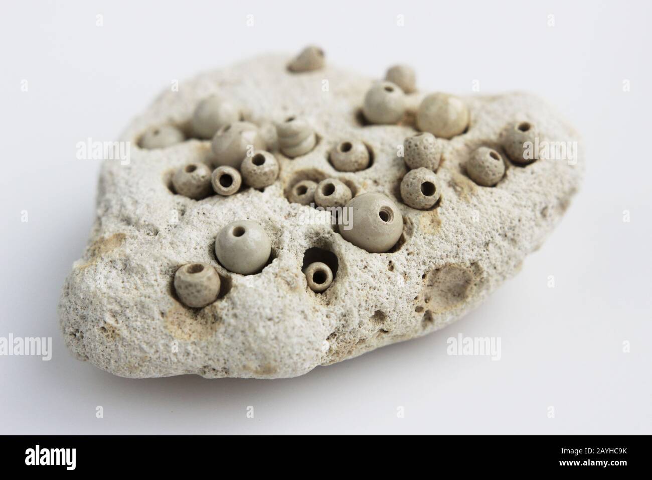Stones with holes. For tripophobia. Material natural stone Stock