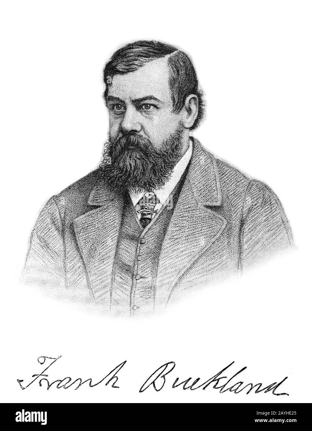 Frank Buckland naturalist Stock Photo Alamy