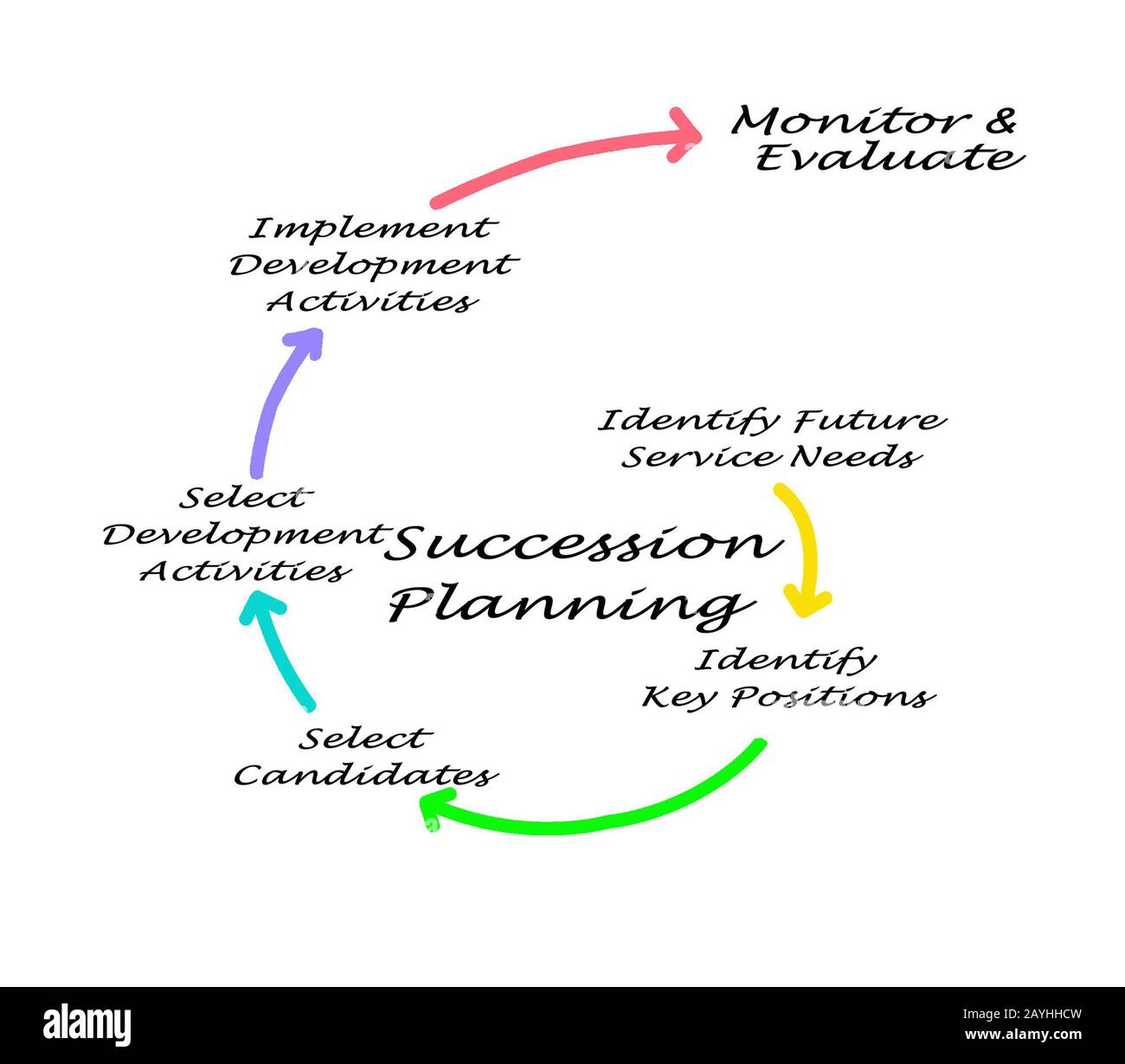Components of Succession Planning Process Stock Photo - Alamy