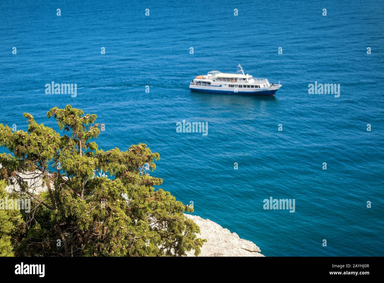 The Black Sea coast near city of Yalta in Crimea. Juniper on rock in the foreground and the tourist boat in the background. Stock Photo