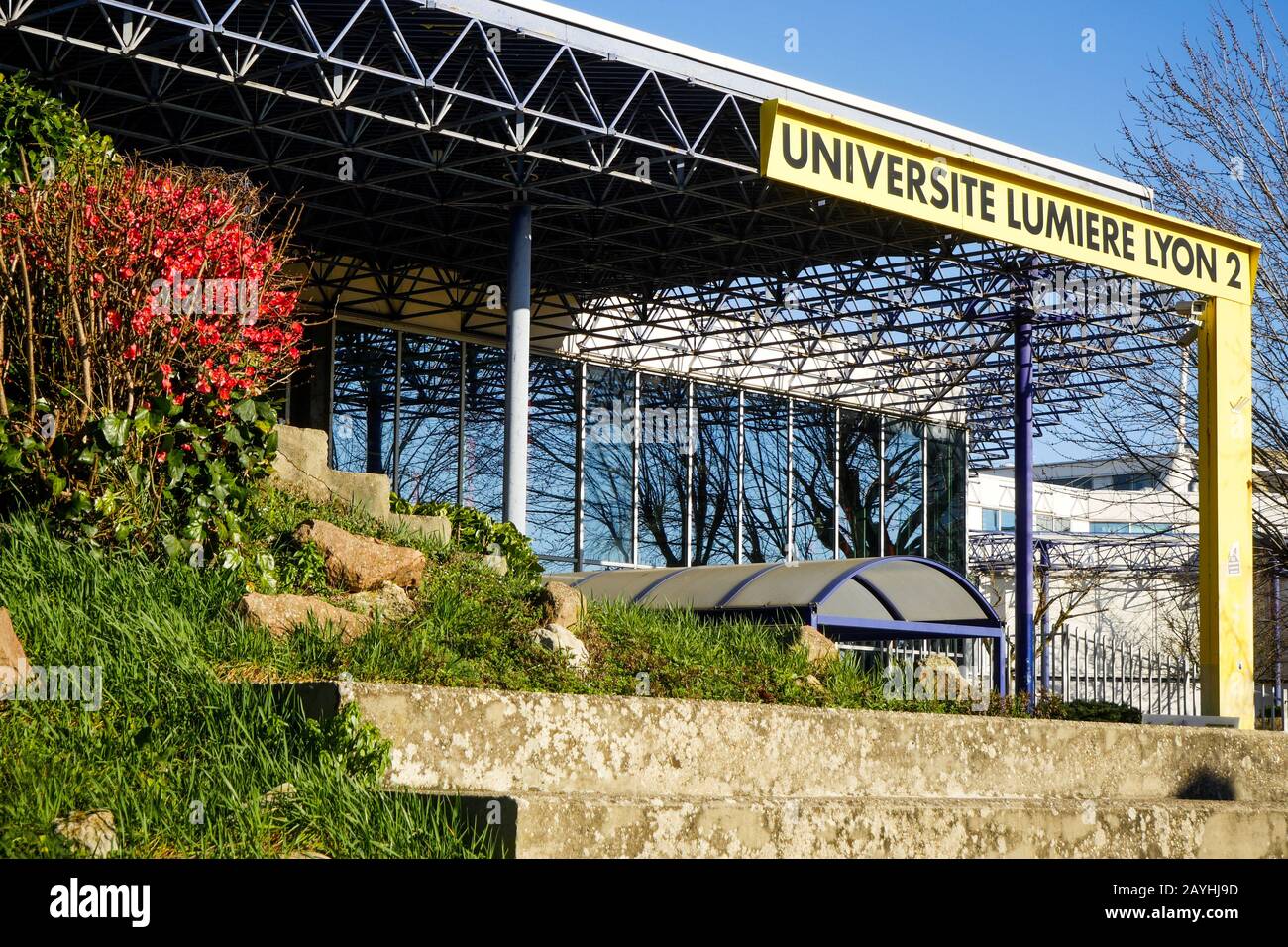iut lumiere lyon 2 bron
