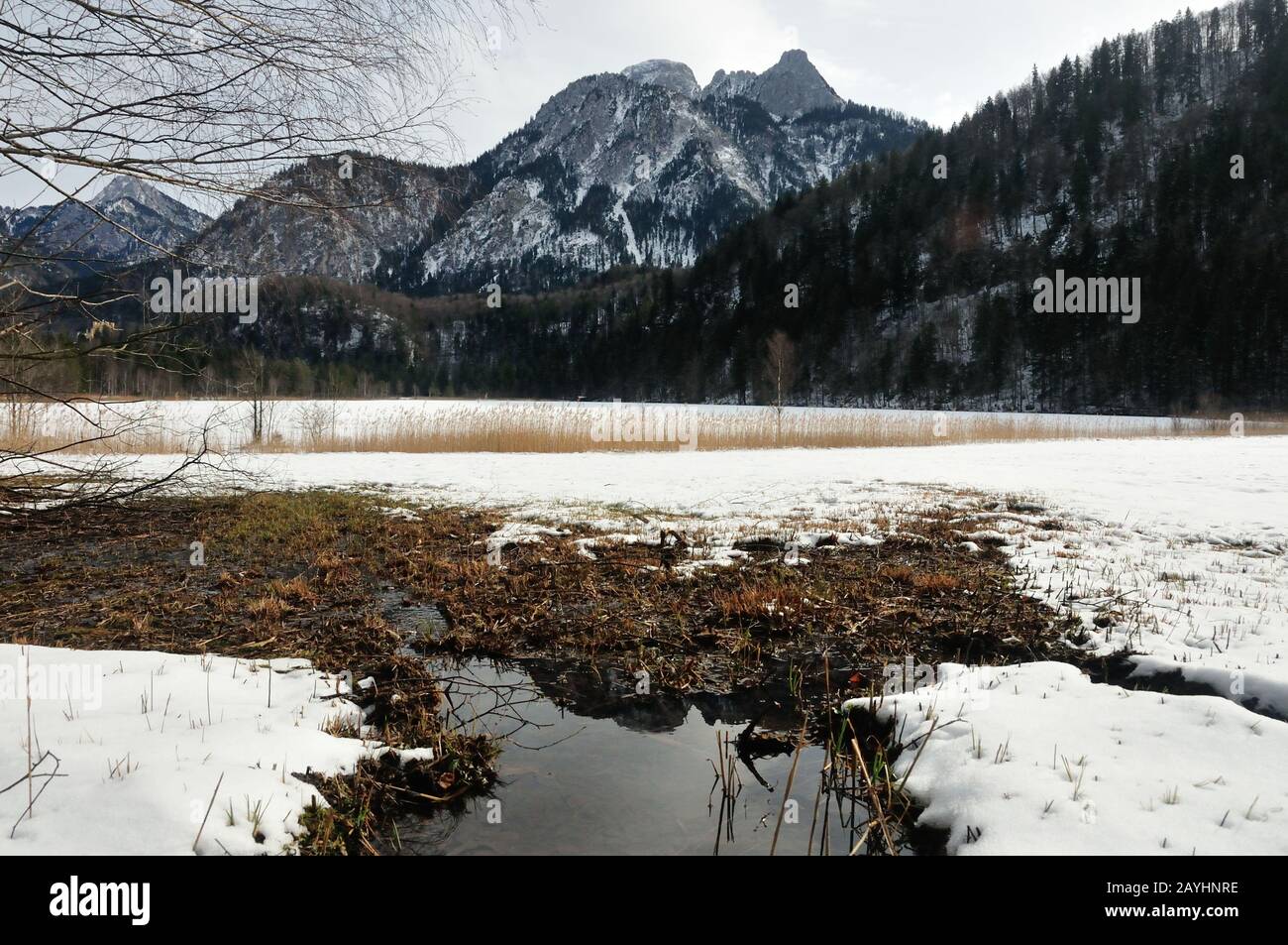 Alps in Bayern Stock Photo