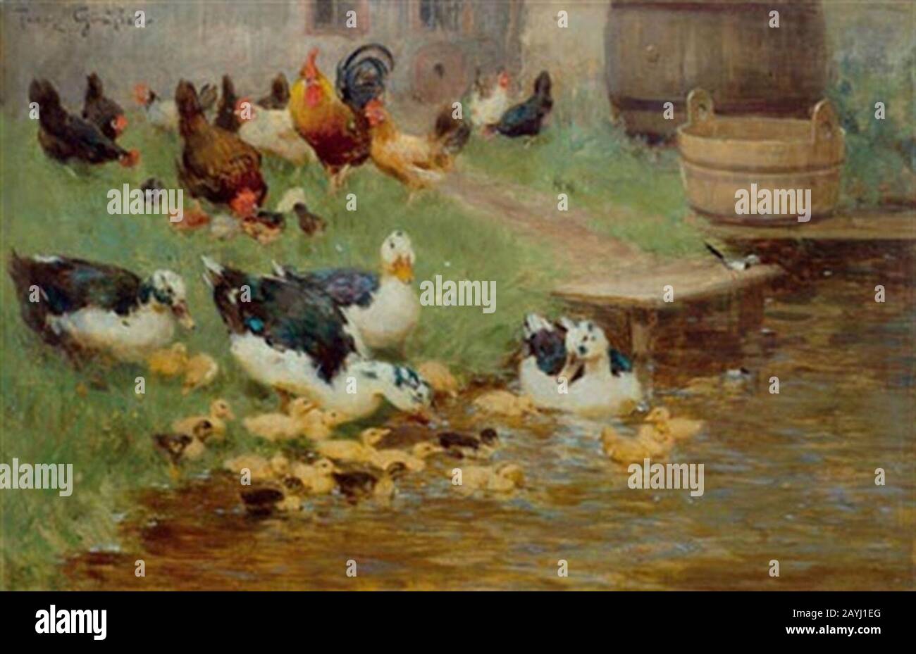 Enten teich hires stock photography and images Alamy