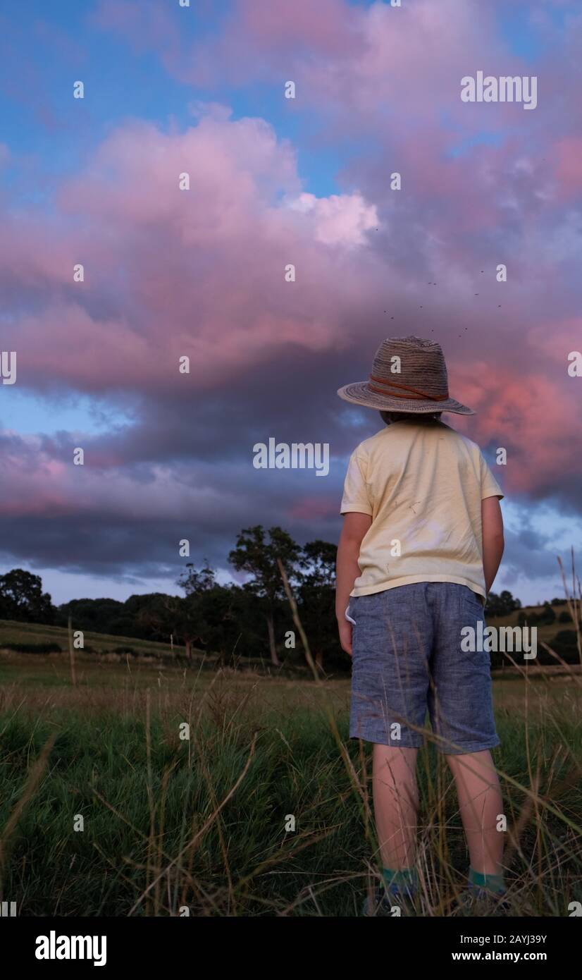 Boy in a field hi-res stock photography and images - Alamy