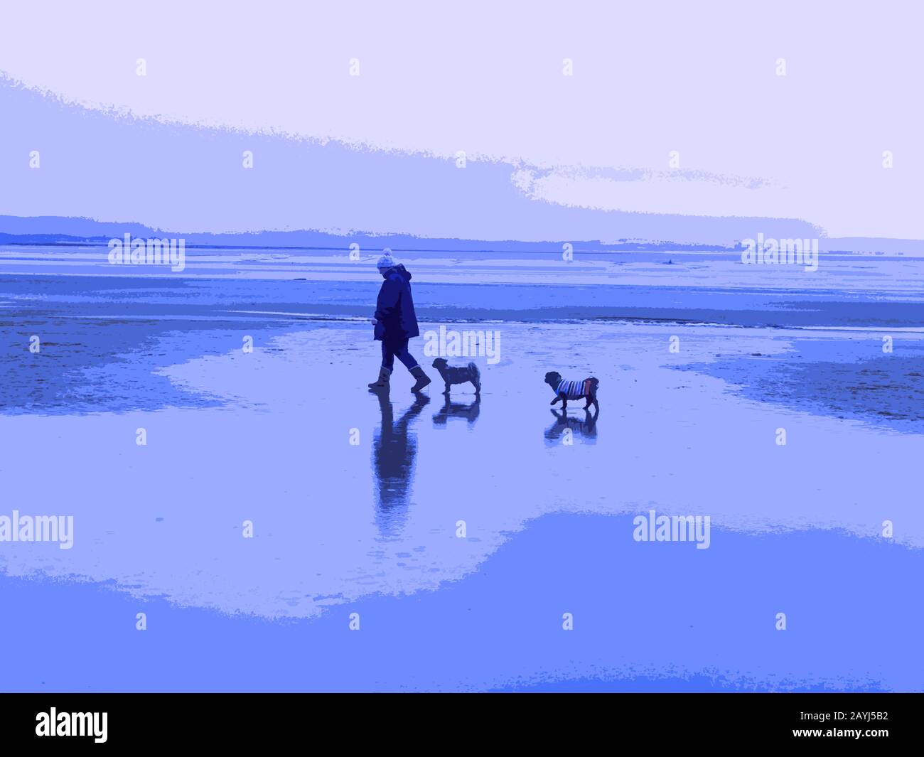 Woman walking two small dogs on a beach their reflections are cast on the wet sand Stock Photo
