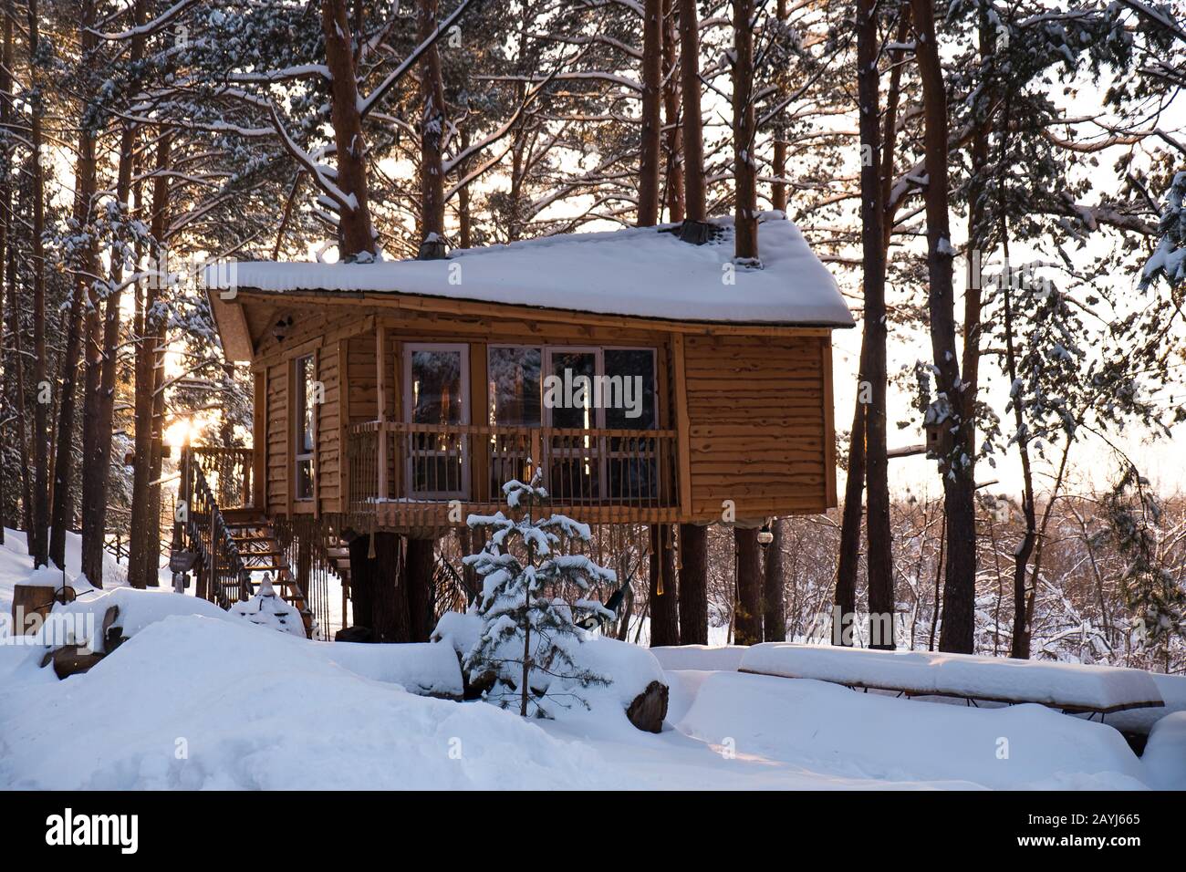 tree house in the woods in Siberia Stock Photo Alamy