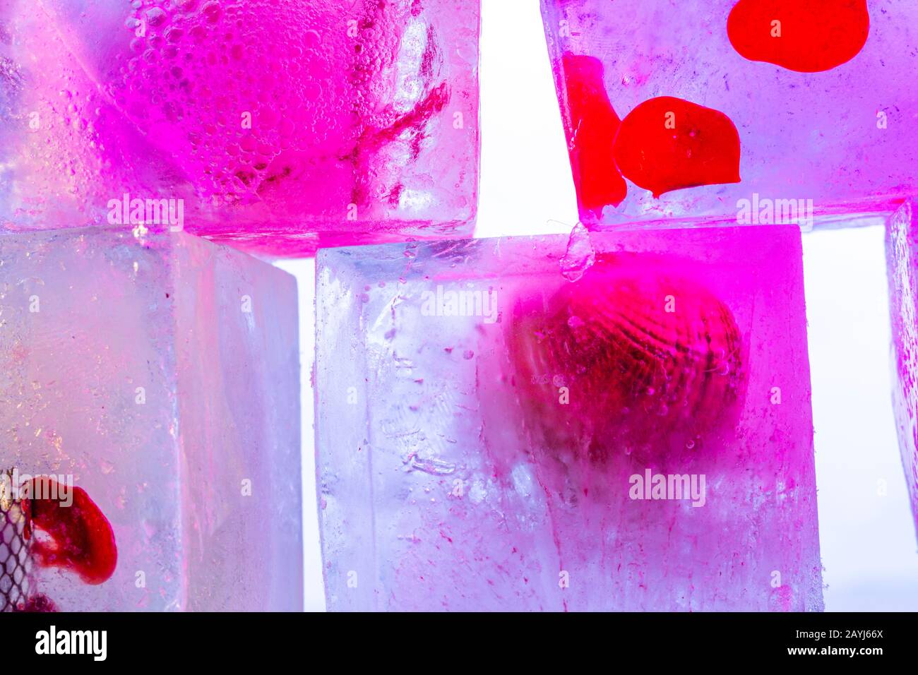 Melting frozen ice cubes illuminated with blue coloured LED light in the  dark Stock Photo - Alamy