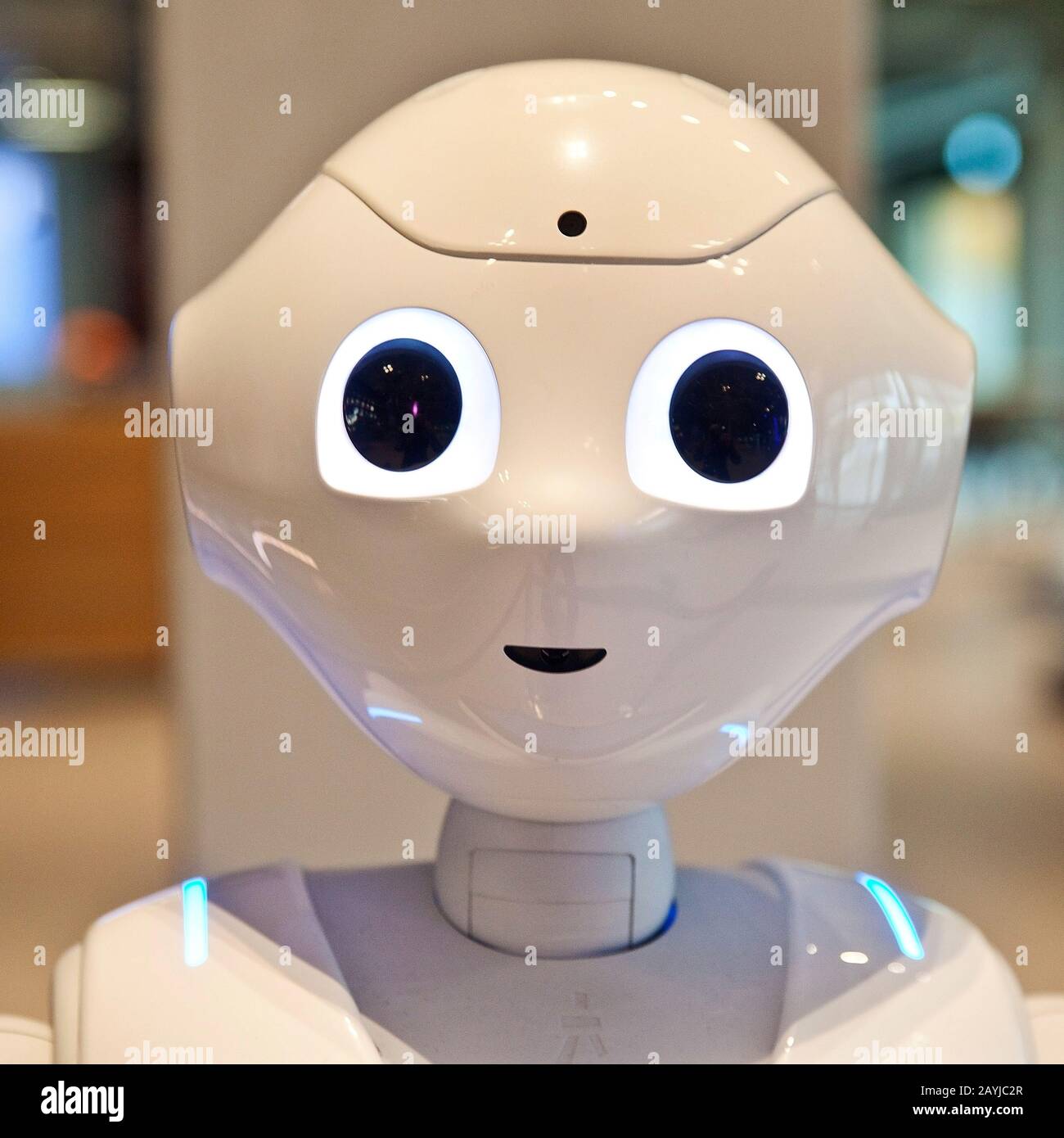head of humanoid robot Pepper Stock Photo