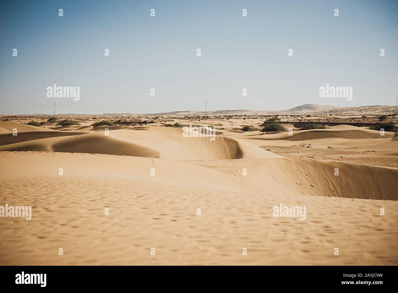 Thal Desert