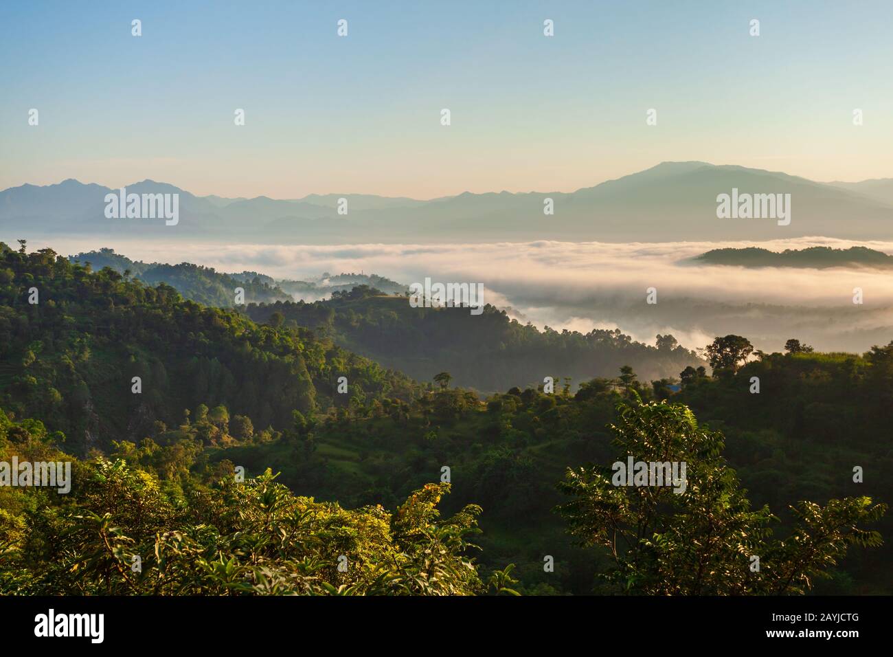 Scenic landscape view of the forested mountain slope in mist and clouds at sunrise, Himalaya mountains in Himachal Pradesh, India Stock Photo