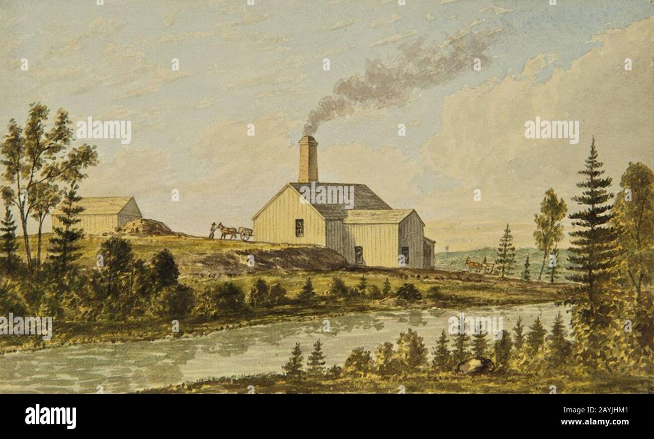 Frederick B. Nichols - Excelsior (late Chicago) Mill, Goldenville, 1871 Stock Photo