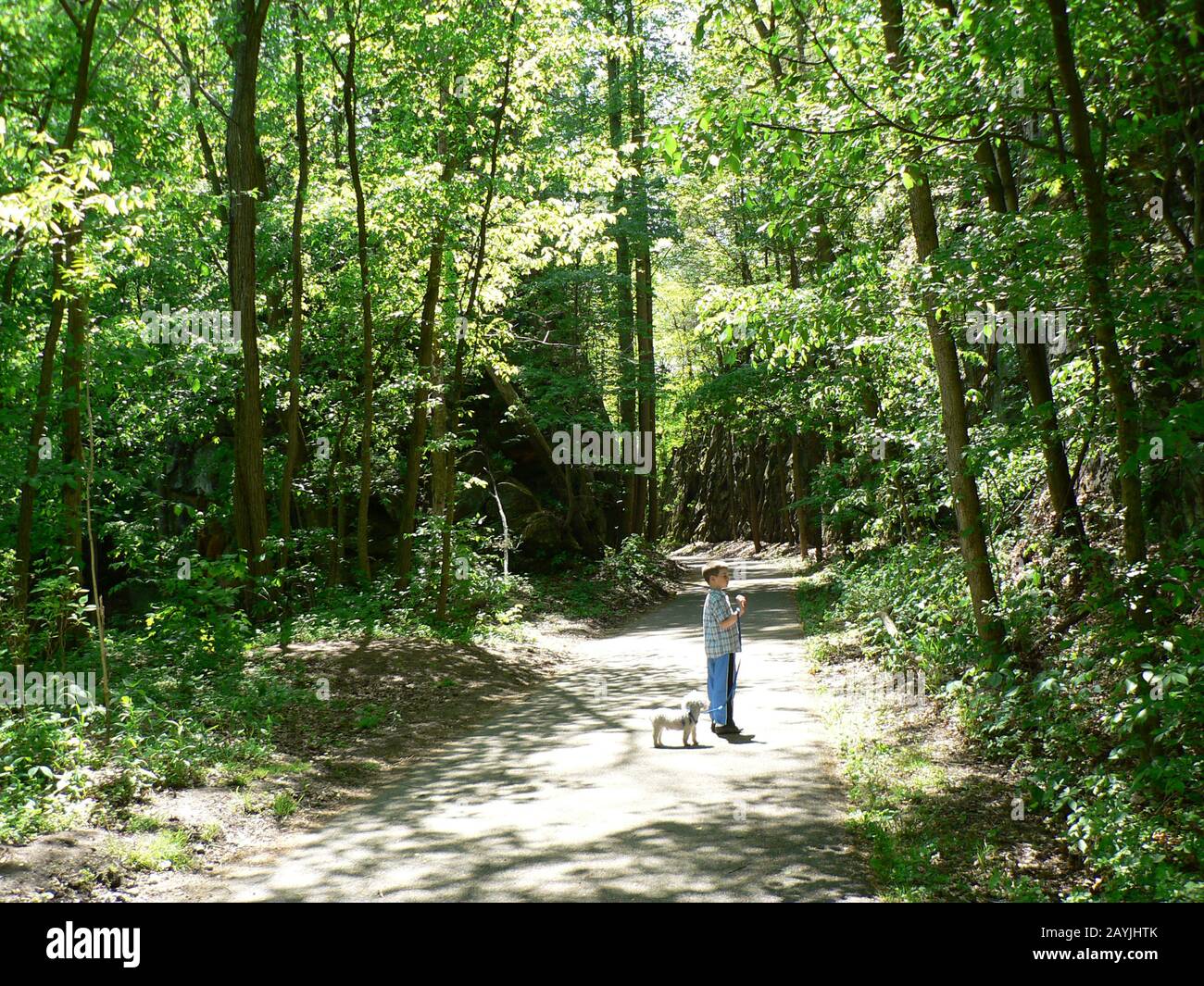 Blackhand Gorge, Ohio Stock Photo - Alamy