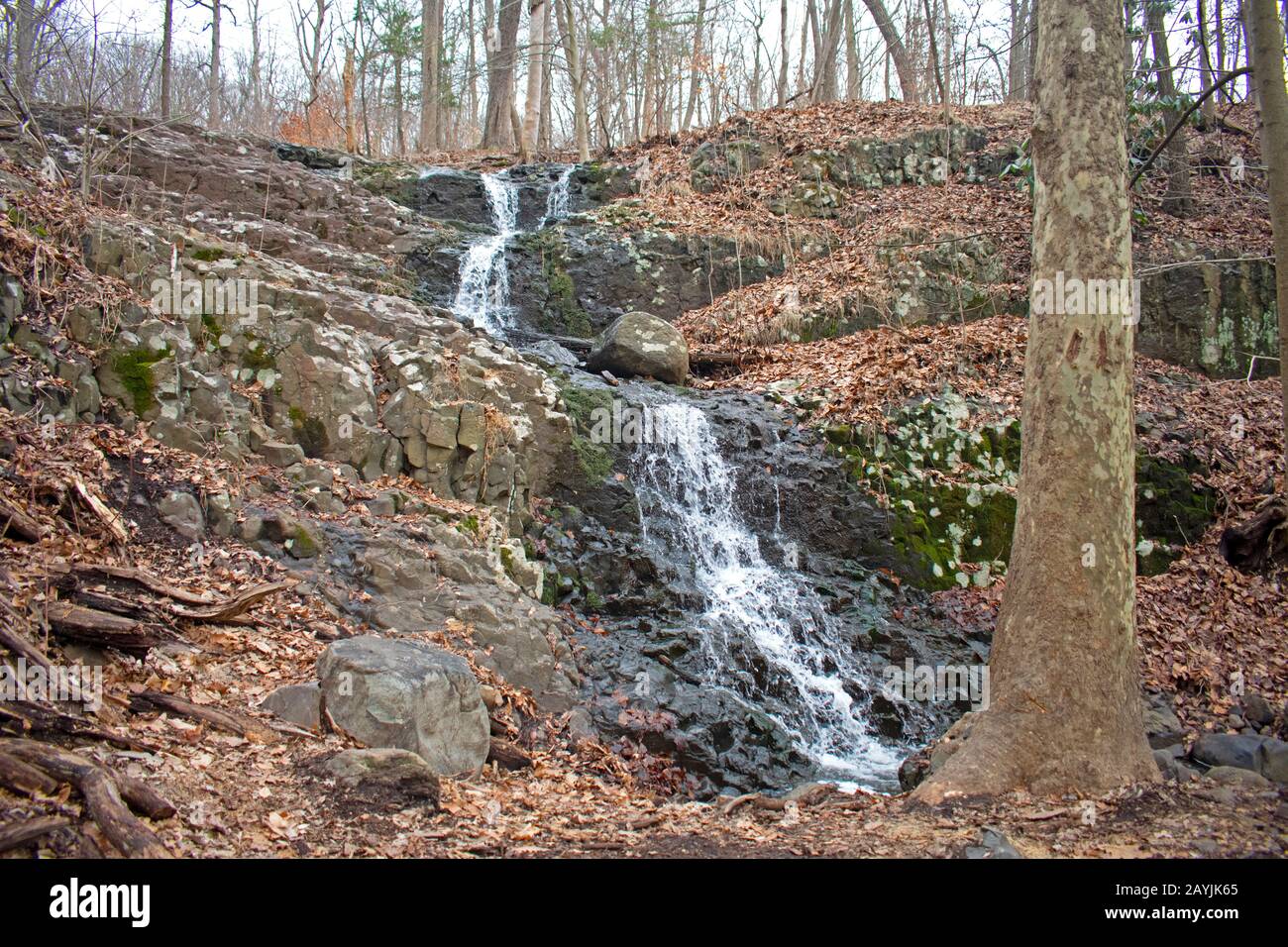 A small, unnamed waterfall near Hemlock Falls in South Mountain Reservation and part of the Watchung Mountains, in Essex County, New Jersey, USA. -01 Stock Photo