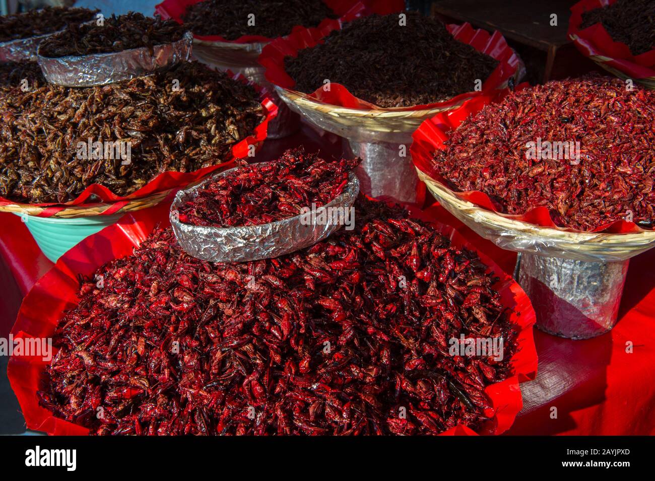 Closeup of fried for sale at the Benito Juarez Market in