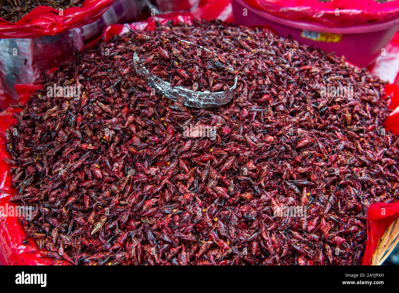 Closeup of fried for sale at the Benito Juarez Market in