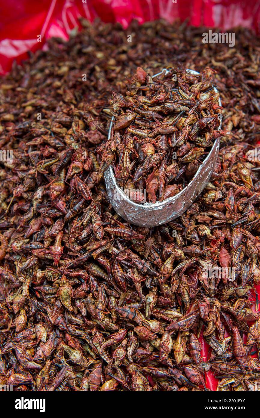 Closeup of fried for sale at the Benito Juarez Market in