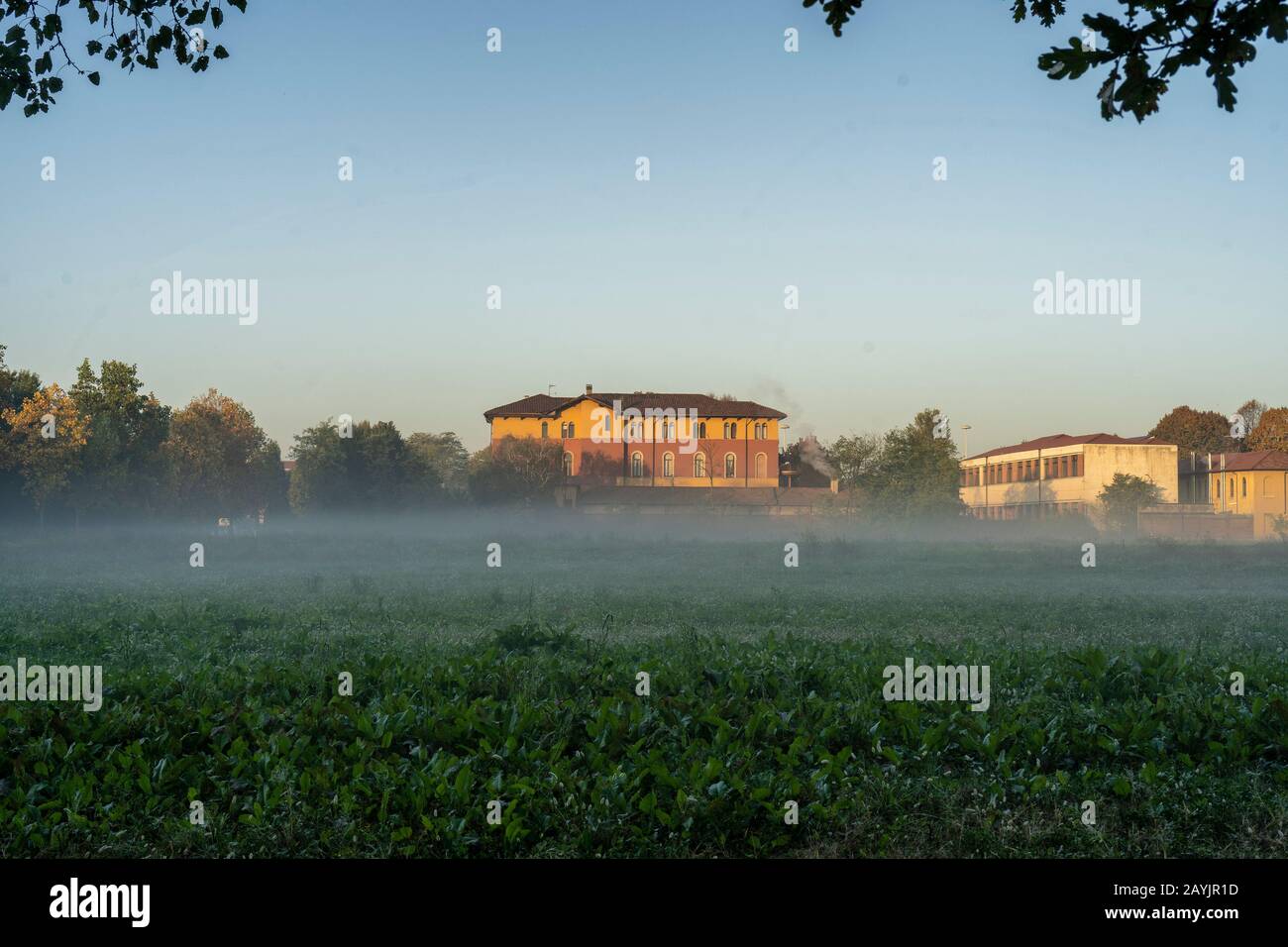 Milan, Lombardy, Italy: the park known as Parco Nord in a foggy morning of October Stock Photo