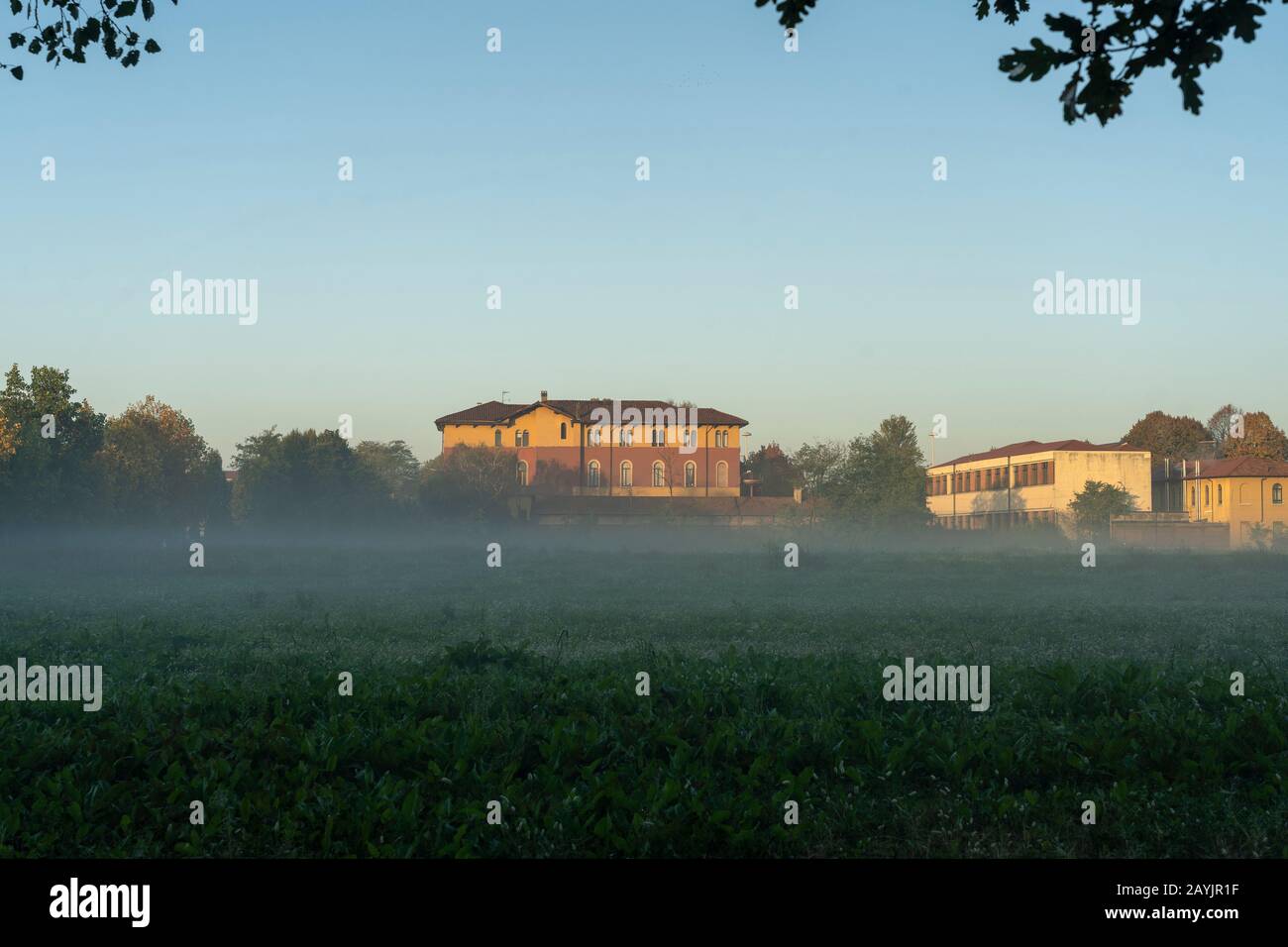 Milan, Lombardy, Italy: the park known as Parco Nord in a foggy morning of October Stock Photo