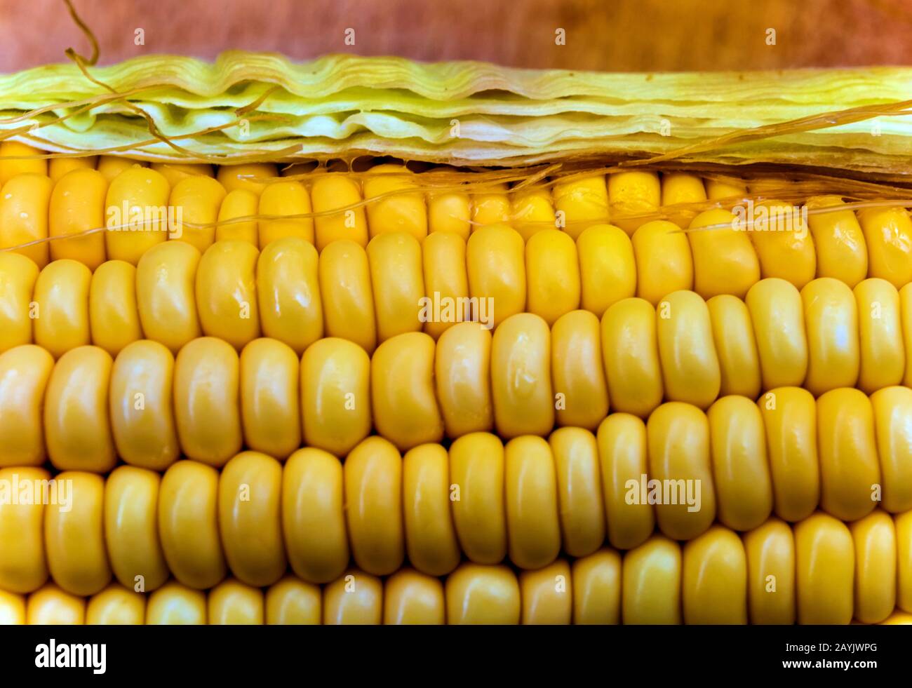 Texture of raw corn cob sweet maize Stock Photo - Alamy