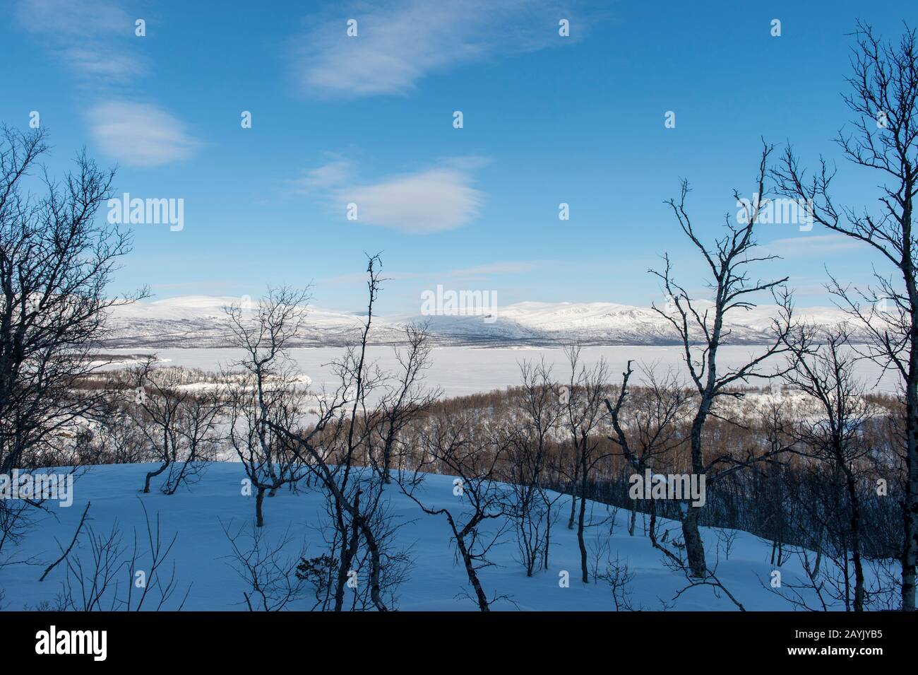 View of frozen and snowcovered Lake from crosscountry ski