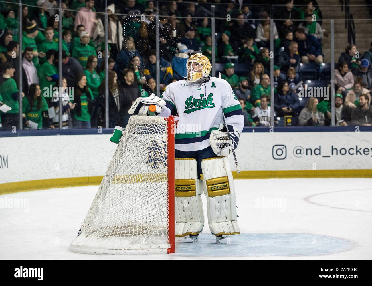 South Bend, Indiana, USA. 15th Feb, 2020. Notre Dame goaltender Cale Morris (32) squirts his water bottle during NCAA Hockey game action between the Minnesota Golden Gophers and the Notre Dame Fighting Irish at Compton Family Ice Arena in South Bend, Indiana. John Mersits/CSM/Alamy Live News Stock Photo