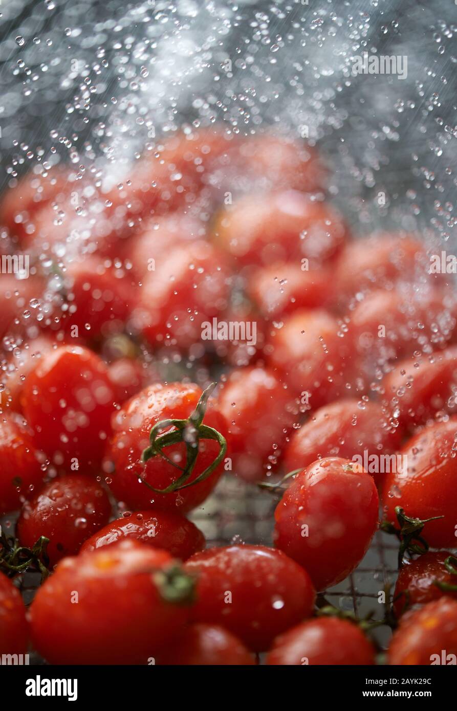 Cleaning the vivid red ripe tomatoes in the metal wire basket Stock Photo