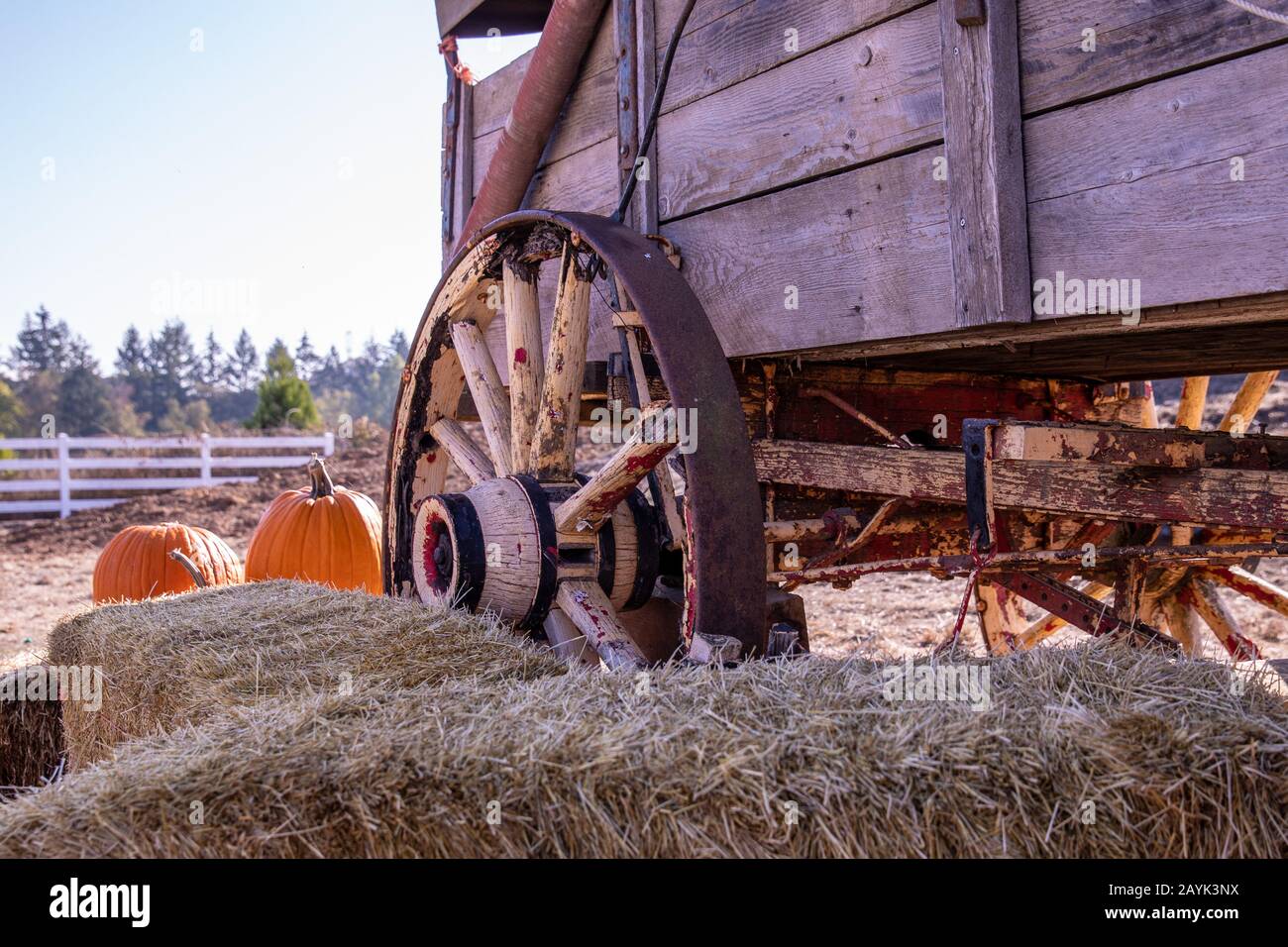 Hay and Straw – Wagon Wheel Farm