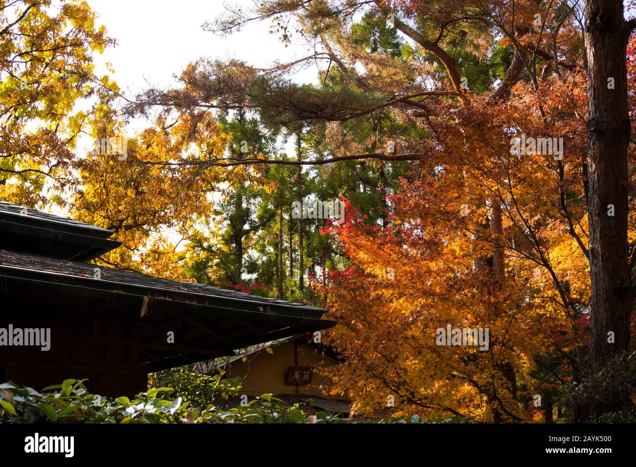 Colorful Autumn view of Japanese Huts in Japanese Garden, Osaka, Japan Stock Photo