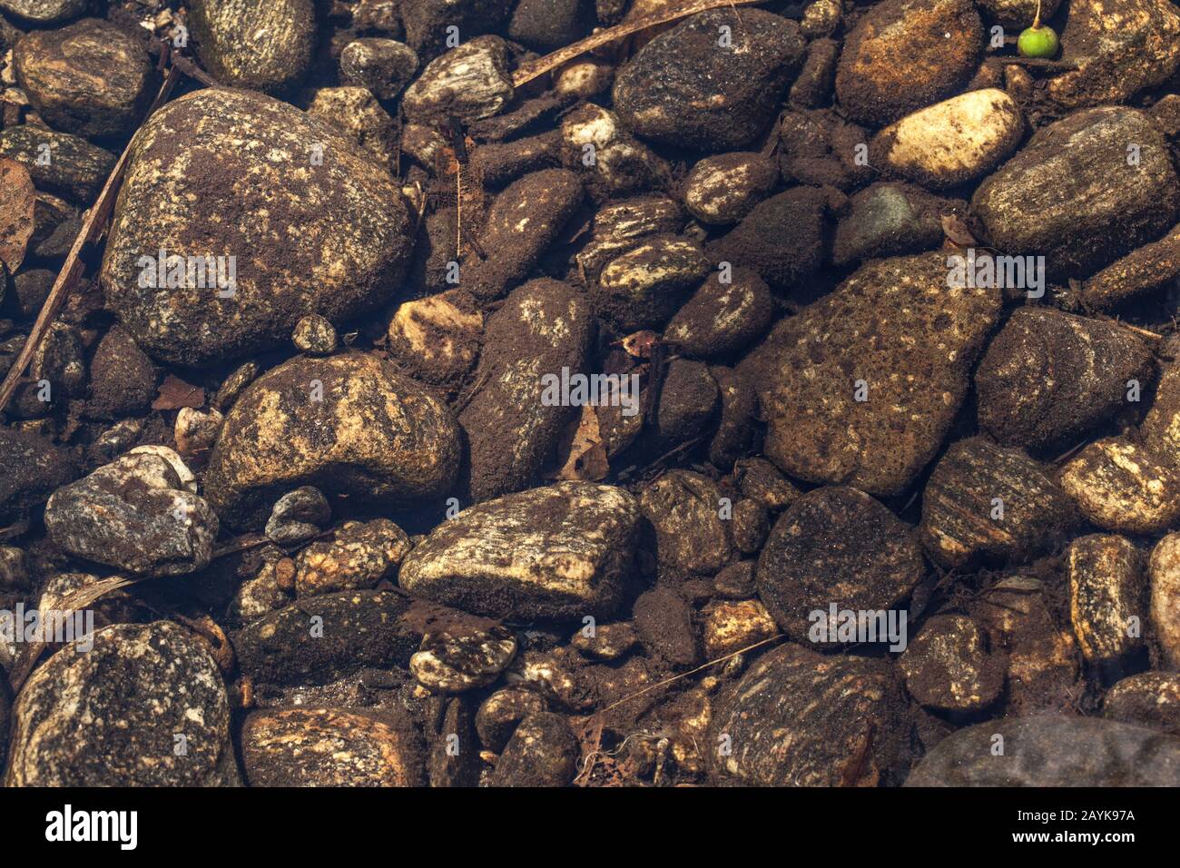 River Bed Stones Beneath The Clear Water Of A River Stone Texture Stock Photo Alamy