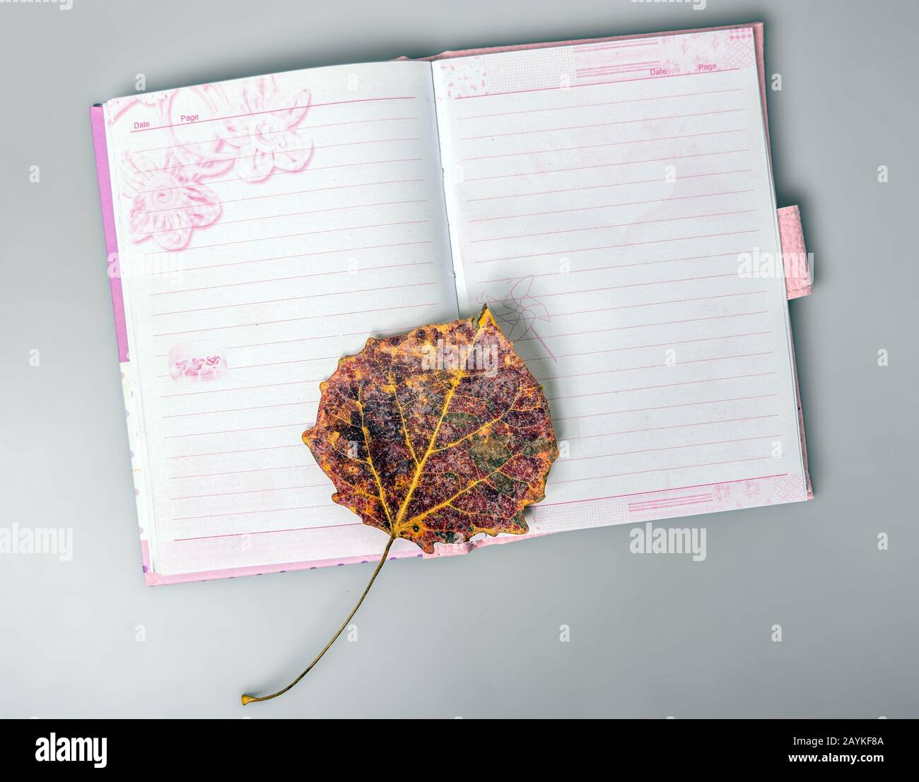 The dried sheet lies on an open notebook. Notebook for notes. Office. Stock Photo