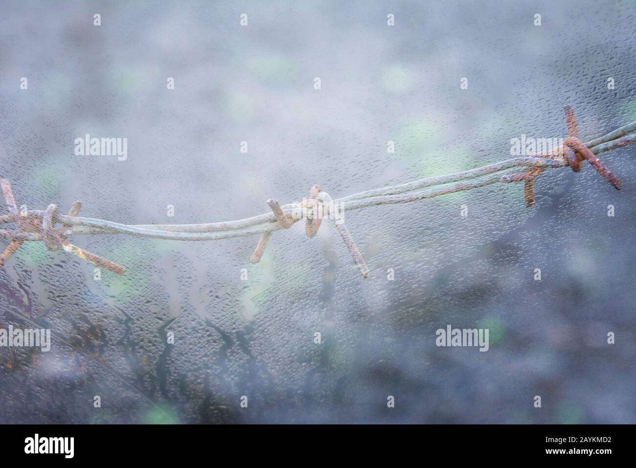 View through a foggy glass of a window with condensate on a barbed wire. The concept of border protection, prisoners, criminals, illegal migrants. Blu Stock Photo