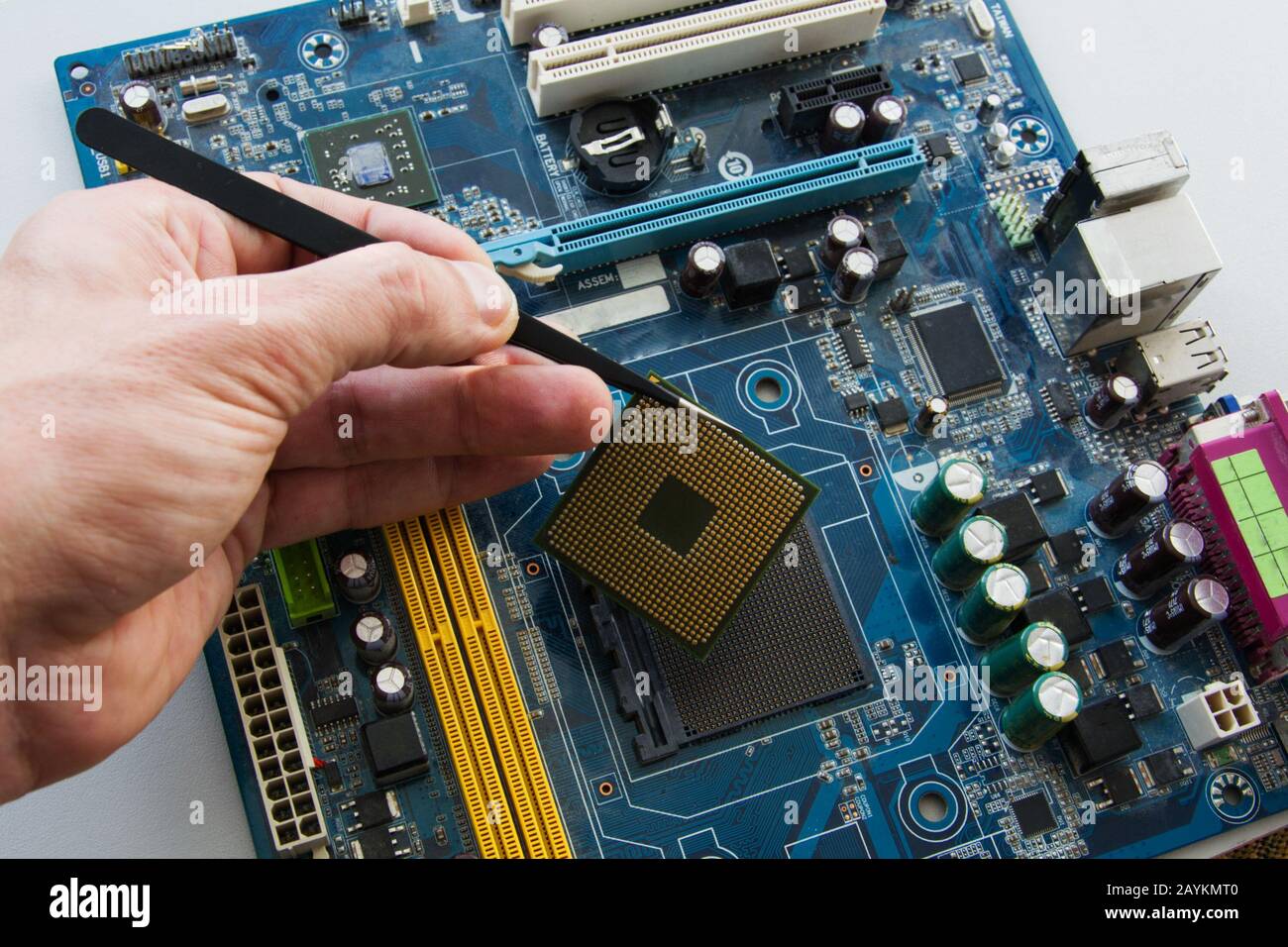 Engineer Technician holds in his hand with the tweezers CPU microprocessor  and plug in computer to motherboard socket. Technology background industry  Stock Photo - Alamy