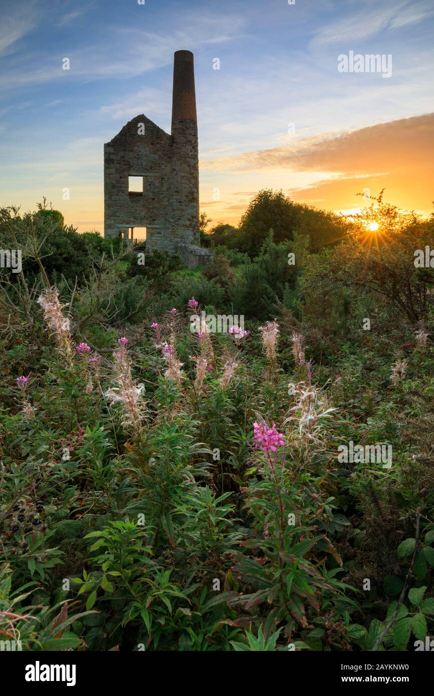 Wheal Peevor near Redruth in Cornwall. Stock Photo