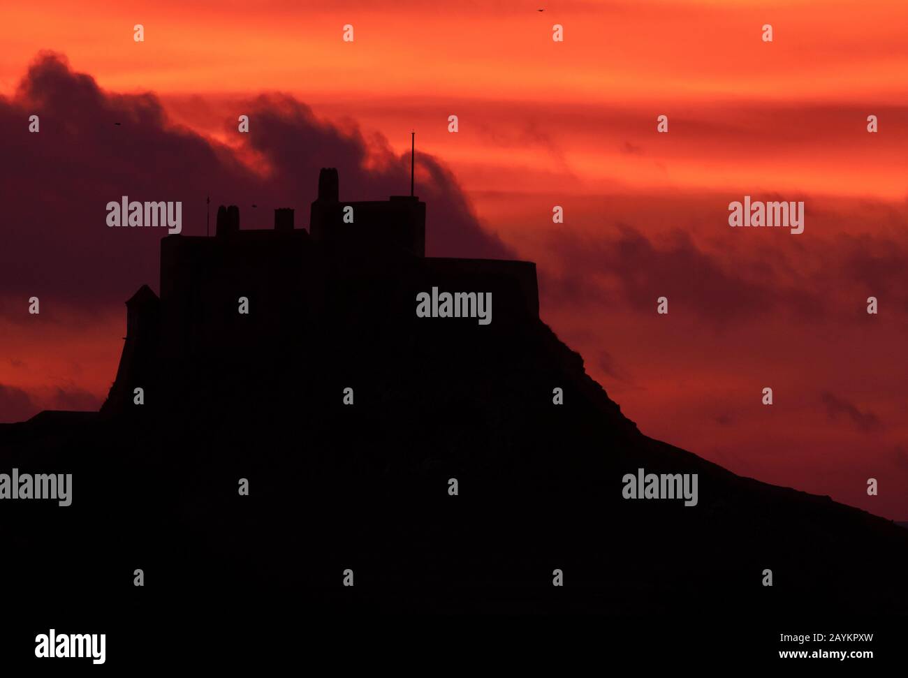 Silhouette of Lindisfarne Castle, Holy Island, Nothumberland Stock Photo