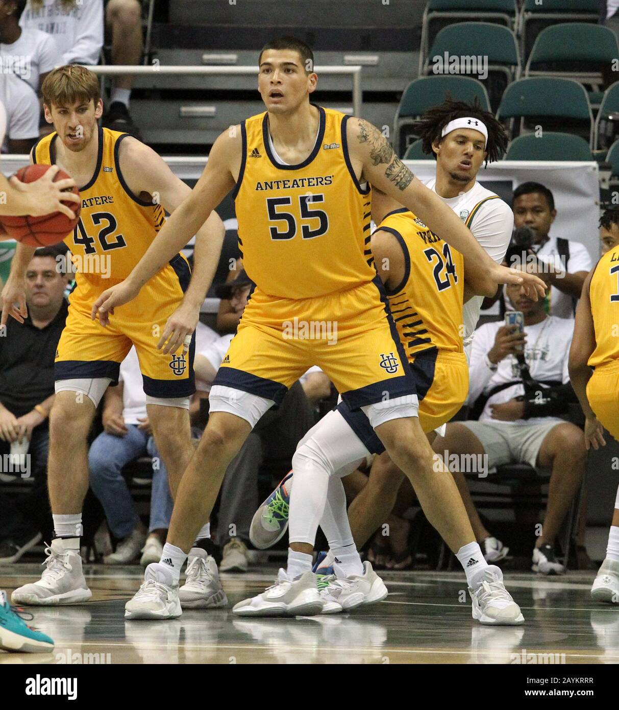 February 15, 2020 - UC Irvine Anteaters center Brad Greene (55) defends during a game between the UC Irvine Anteaters and the Hawaii Rainbow Warriors at the Stan Sheriff Center in Honolulu, HI - Michael Sullivan/CSM Stock Photo