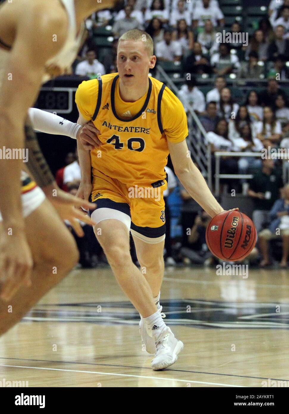 February 15, 2020 - UC Irvine Anteaters forward Collin Welp (40) dribbles during a game between the UC Irvine Anteaters and the Hawaii Rainbow Warriors at the Stan Sheriff Center in Honolulu, HI - Michael Sullivan/CSM Stock Photo