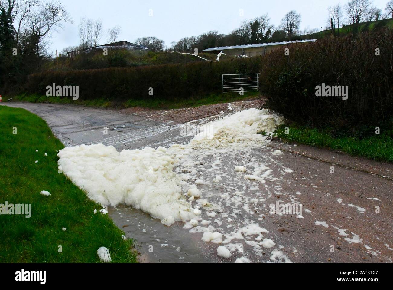 From axminster hires stock photography and images Alamy