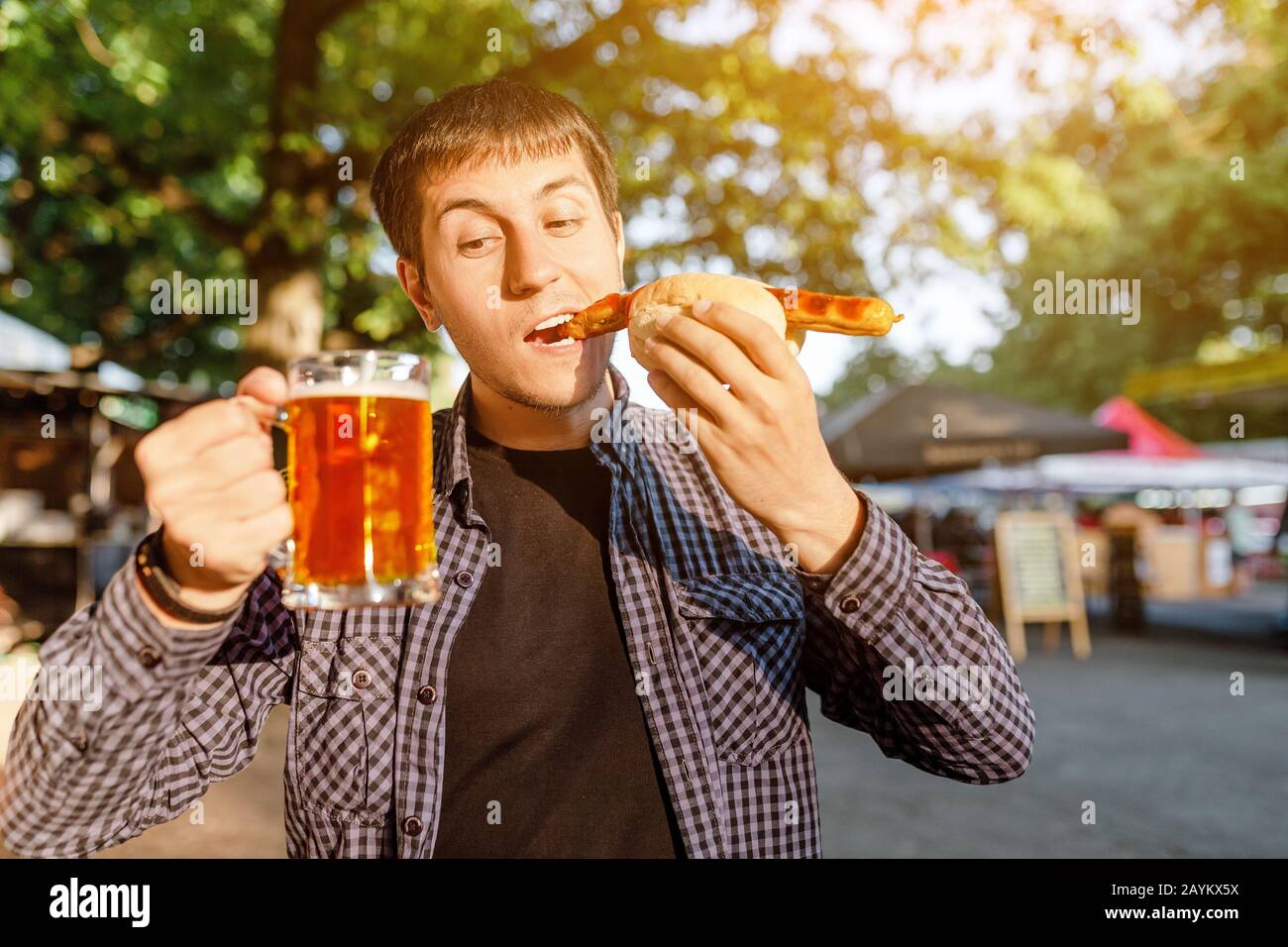 Lager dog hires stock photography and images Alamy