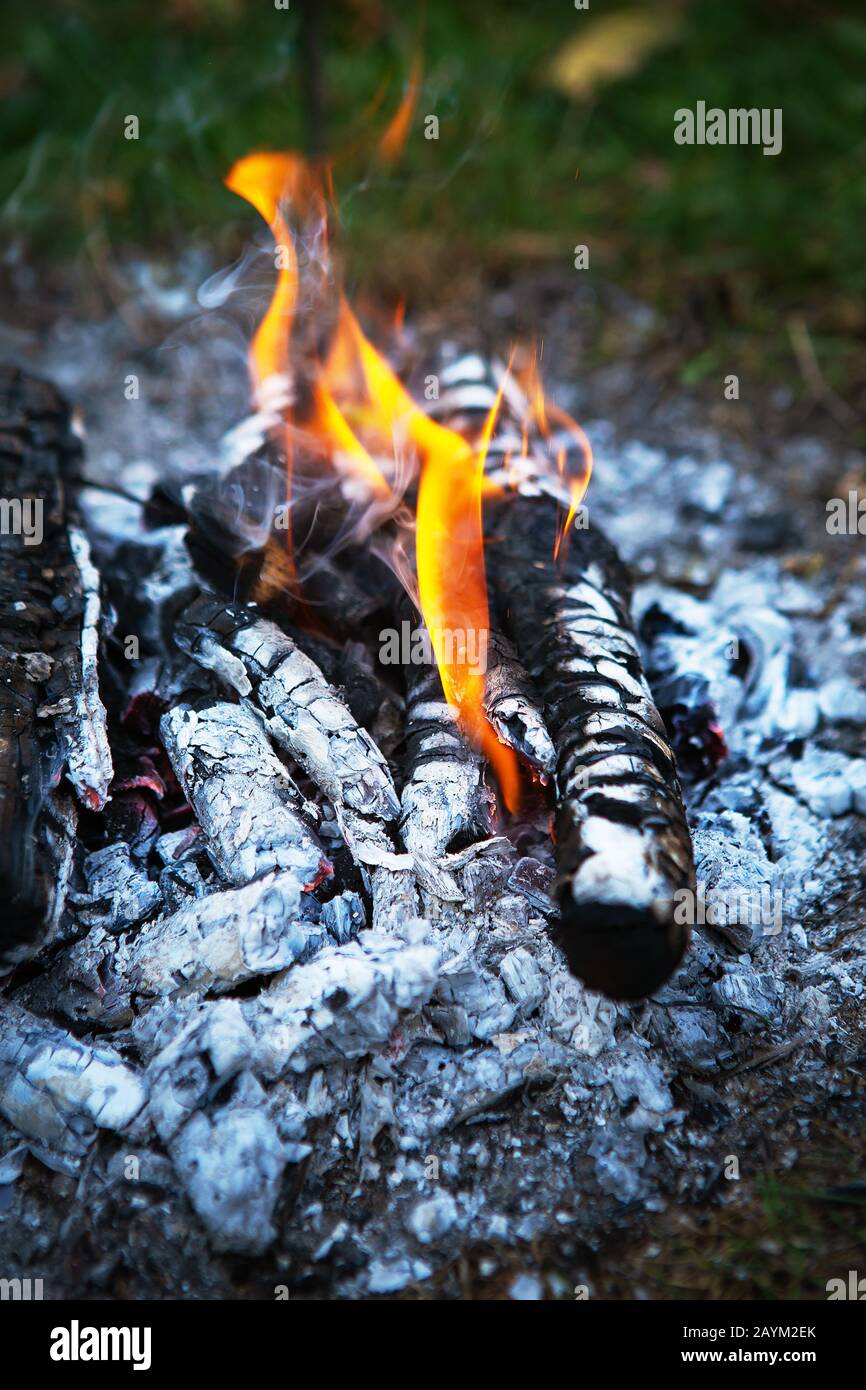Bonfire, firewood close-up. Burning fire. Wood ash Stock Photo - Alamy