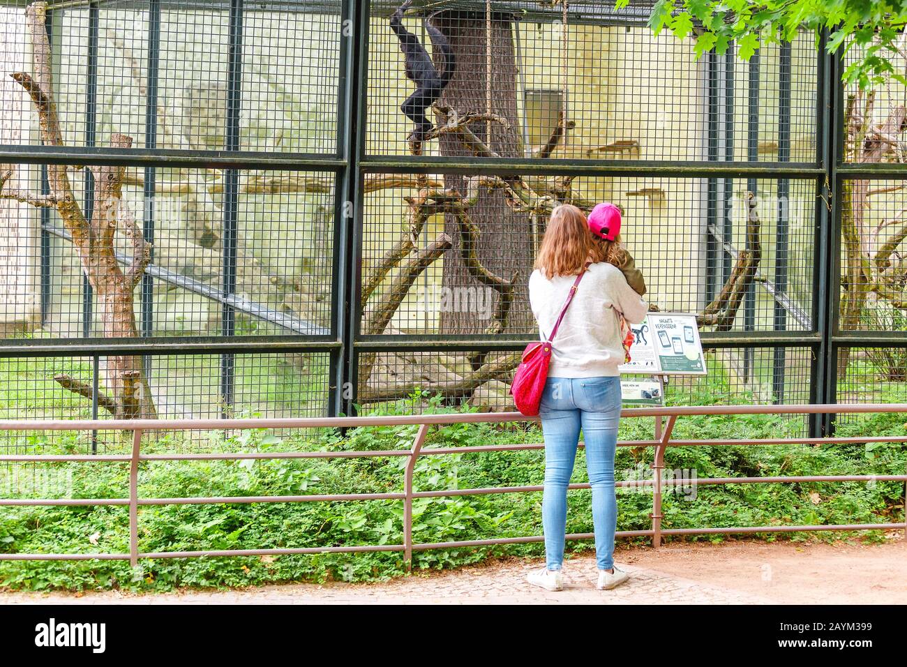 18 MAY 2018, BERLIN, GERMANY: young child kid with mother looking at monkey in the Zoo Stock Photo