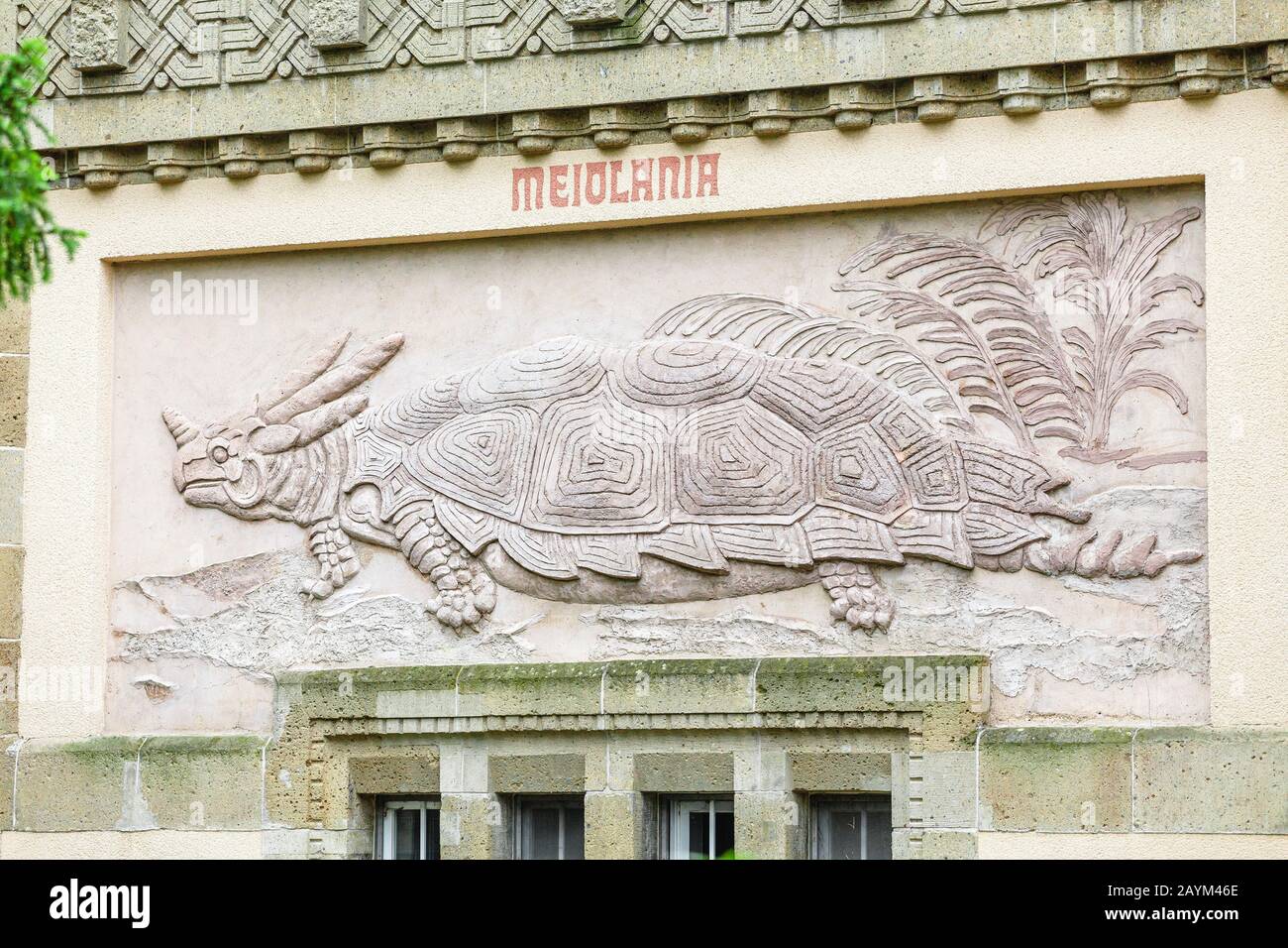 18 MAY 2018, BERLIN, GERMANY: Sculpture fossil of an Ancient prehistoric Turtle Meiolania in Berlin Zoo Stock Photo