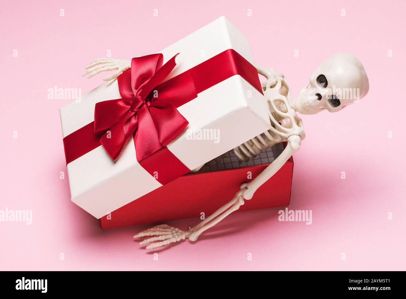 Human skeleton in a gift box on a pink background. Untimely gift concept Stock Photo