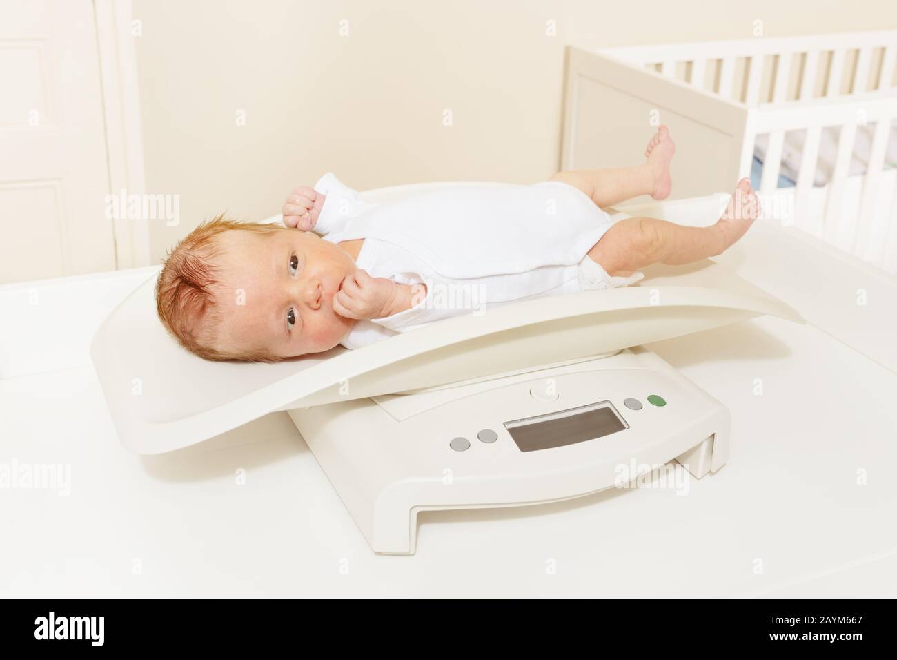 Closeup of 1 Months Old Newborn Baby Boy Lying on Digital Scales or Weighs.  Concept of Babies and Newborn Hygiene and Stock Photo - Image of growth,  girl: 208995290