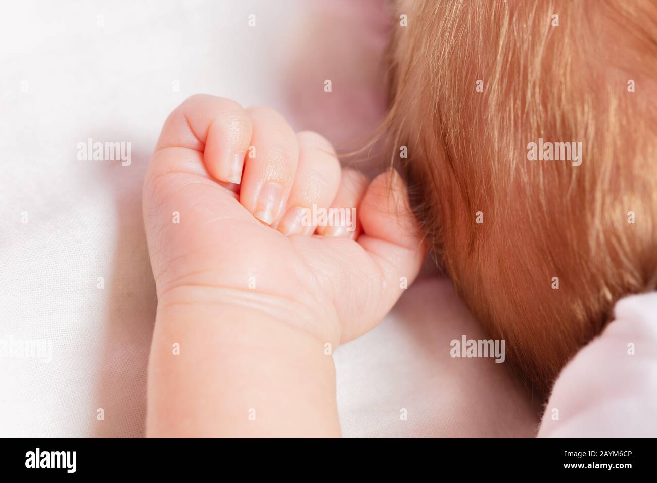 Tiny hand fist close-up of newborn infant baby boy sleeping Stock Photo