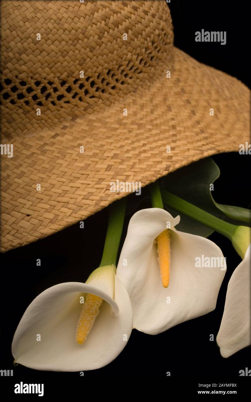 Sun hat with Calla Lilies. Stock Photo