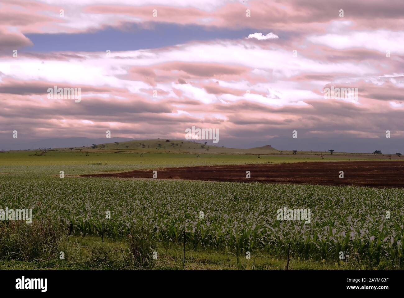 Photo of Agricultural Farm Land in South Africa Stock Photo - Alamy