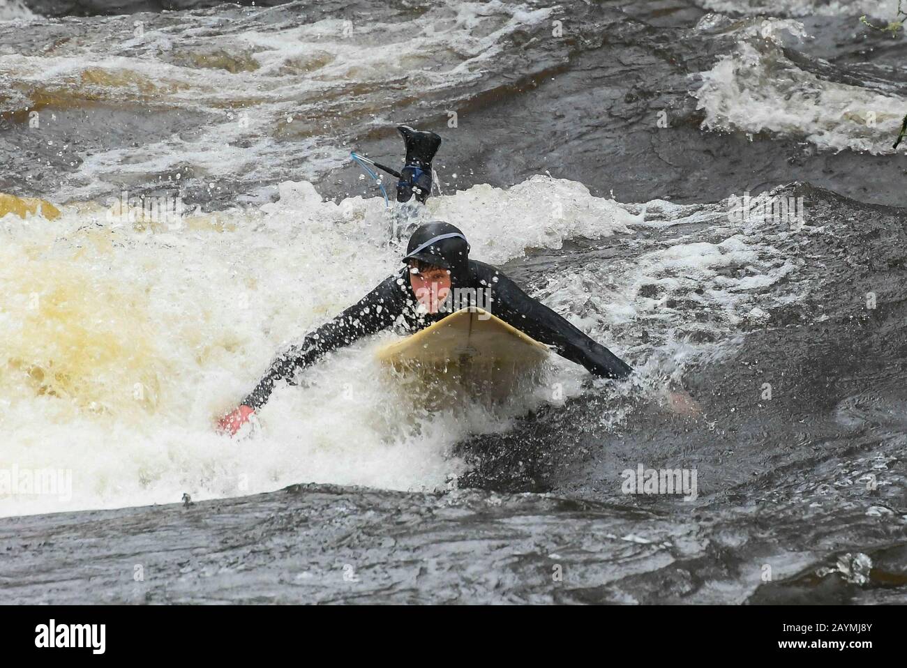 Newbridge, Dartmoor, Devon, UK.  16th February 2020.  UK Weather.  A surfer enjoying the extreme conditions of the Storm Dennis flood water as he surfs the rapids on the River Dart at Newbridge on Dartmoor.  Picture Credit: Graham Hunt/Alamy Live News Stock Photo