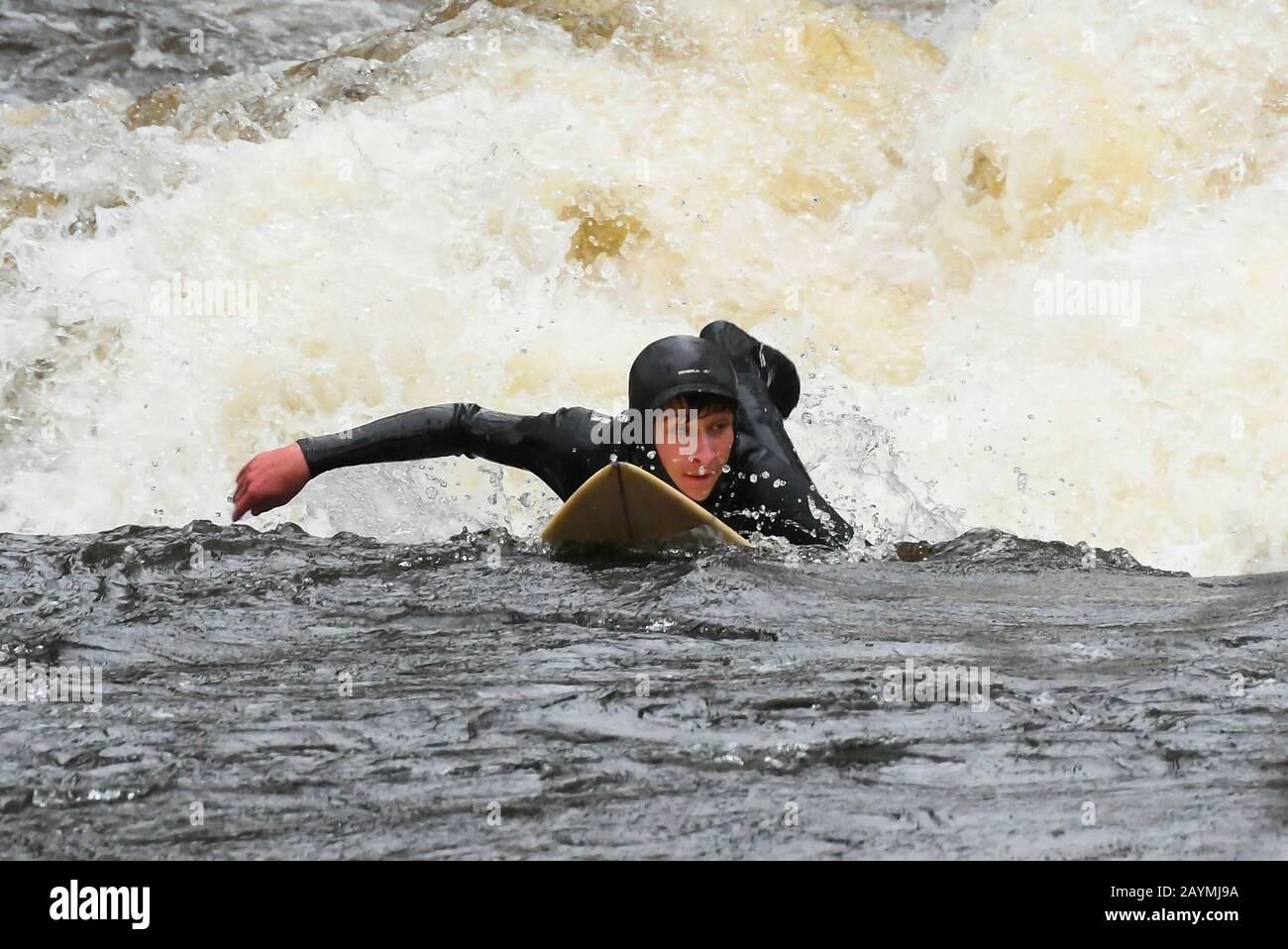 Newbridge, Dartmoor, Devon, UK.  16th February 2020.  UK Weather.  A surfer enjoying the extreme conditions of the Storm Dennis flood water as he surfs the rapids on the River Dart at Newbridge on Dartmoor.  Picture Credit: Graham Hunt/Alamy Live News Stock Photo